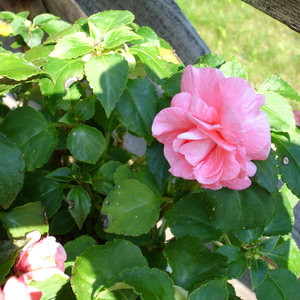 DSC00122.jpg