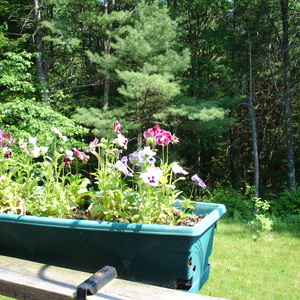 DSC00123.jpg