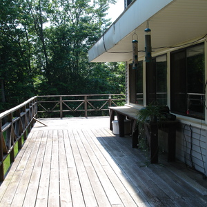 DSC00125.jpg