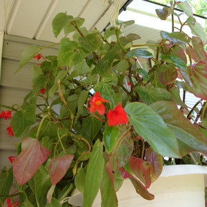 DSC00127.jpg
