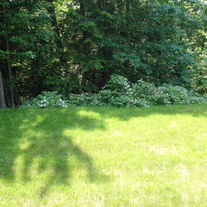 DSC00132.jpg