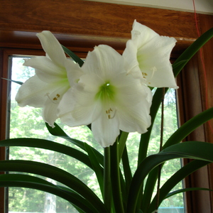 DSC00136.jpg