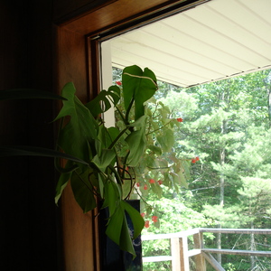 DSC00137.jpg