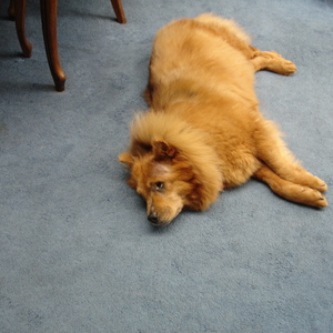 DSC00146.jpg