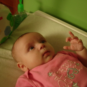 DSC00156.jpg