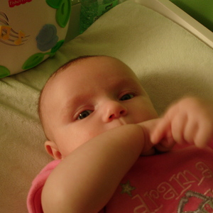 DSC00158.jpg