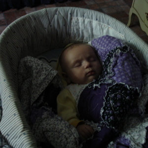 DSC00207.jpg
