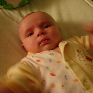 DSC00213.jpg