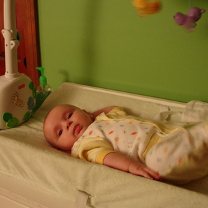 DSC00215.jpg