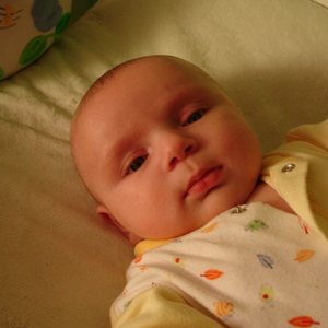 DSC00218.jpg