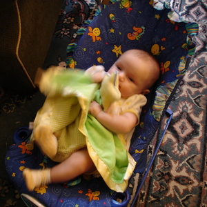 DSC00239.jpg