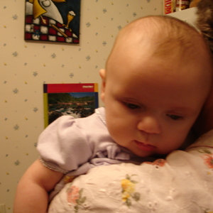 DSC00314.jpg