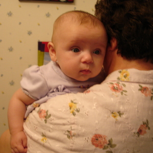 DSC00316.jpg