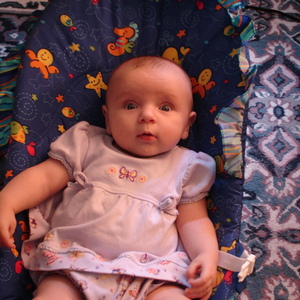 DSC00348.jpg