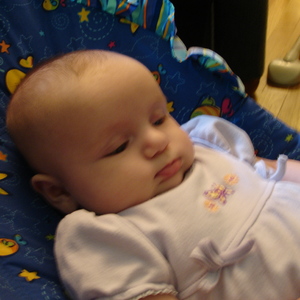 DSC00353.jpg