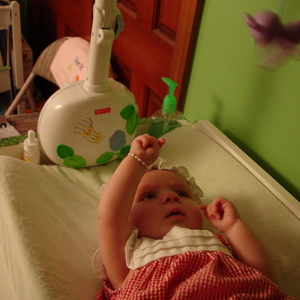 DSC00405.jpg