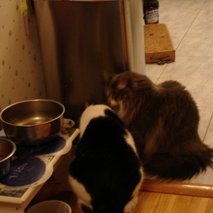 DSC00430.jpg