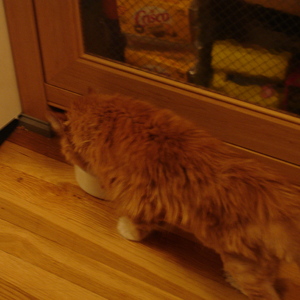 DSC00435.jpg