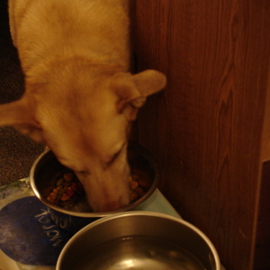 DSC00438.jpg