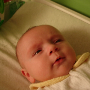 DSC00440.jpg