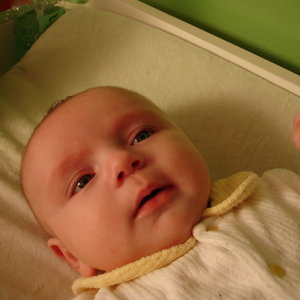 DSC00441.jpg