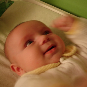 DSC00442.jpg