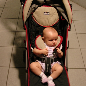DSC00481.jpg