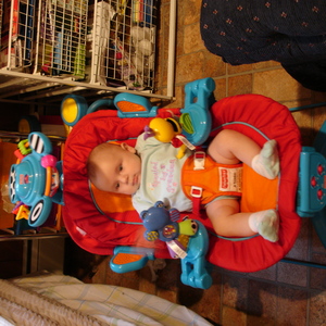 DSC00501.jpg