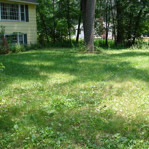 DSC00521.jpg