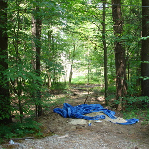 DSC00522.jpg