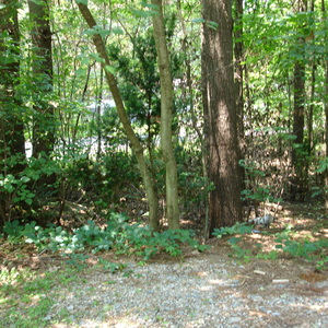 DSC00523.jpg