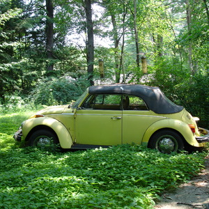 DSC00525.jpg