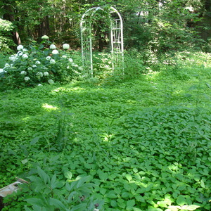 DSC00526.jpg