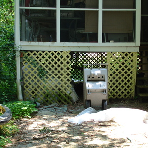 DSC00530.jpg