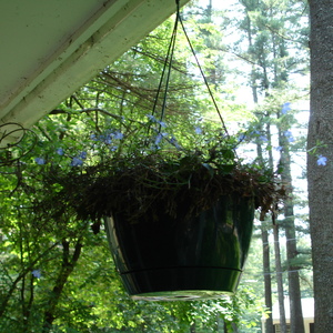DSC00536.jpg