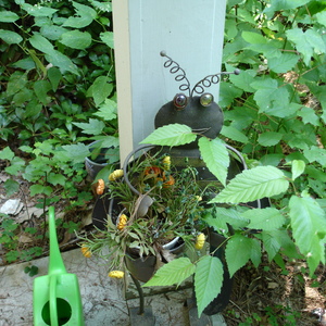 DSC00537.jpg
