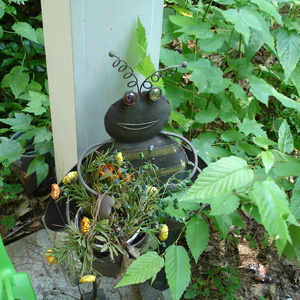 DSC00538.jpg