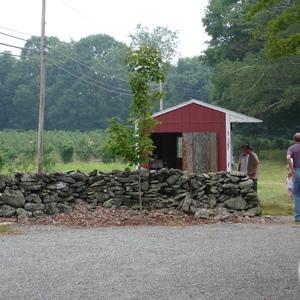 DSC00548.jpg