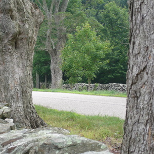 DSC00553.jpg