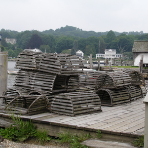 DSC00555.jpg