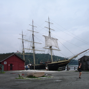 DSC00556.jpg