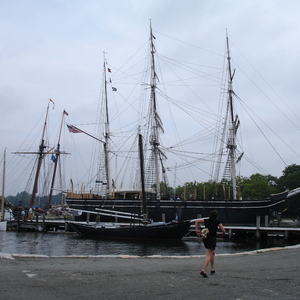 DSC00557.jpg