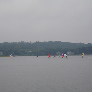 DSC00558.jpg