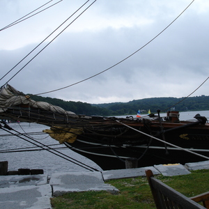 DSC00564.jpg