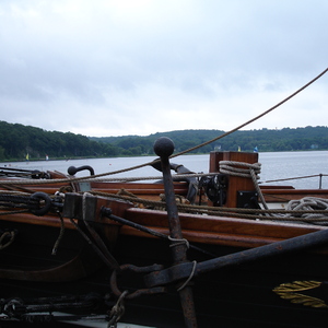 DSC00567.jpg