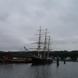 DSC00569.jpg