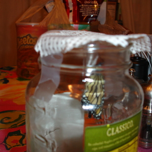 DSC00738.JPG