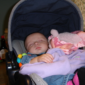 DSC00786.JPG