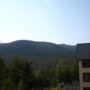 DSC00790.JPG