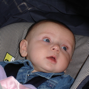 DSC00797.JPG